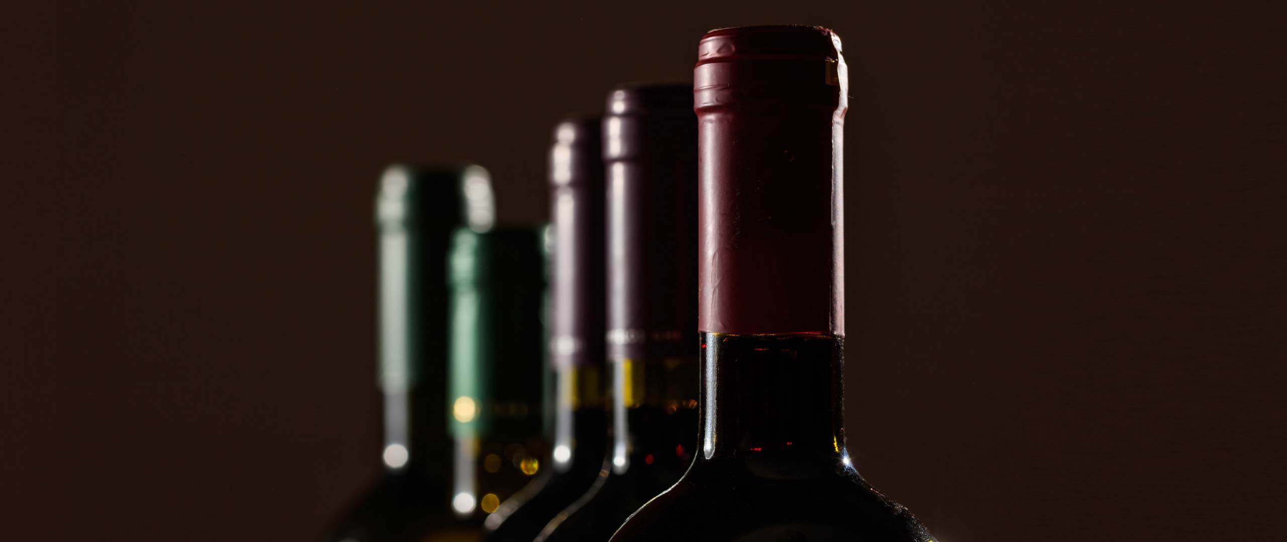 la sacristia vinos y catas